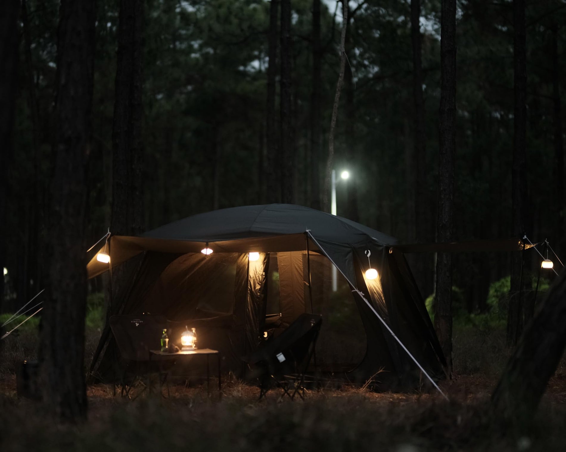 4-6 Person Family Cabin Tent 2-Room Waterproof