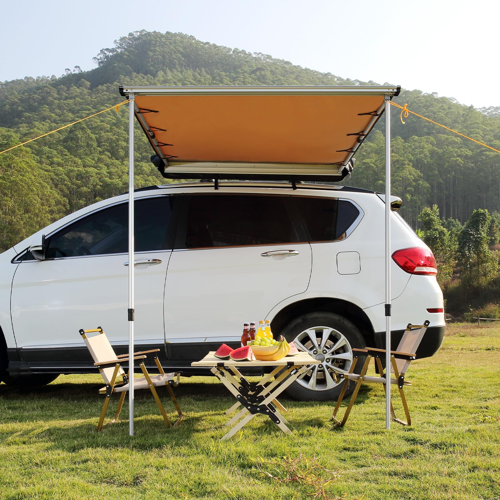 6.6x8.2 Pull-Out Vehicle Side Awning