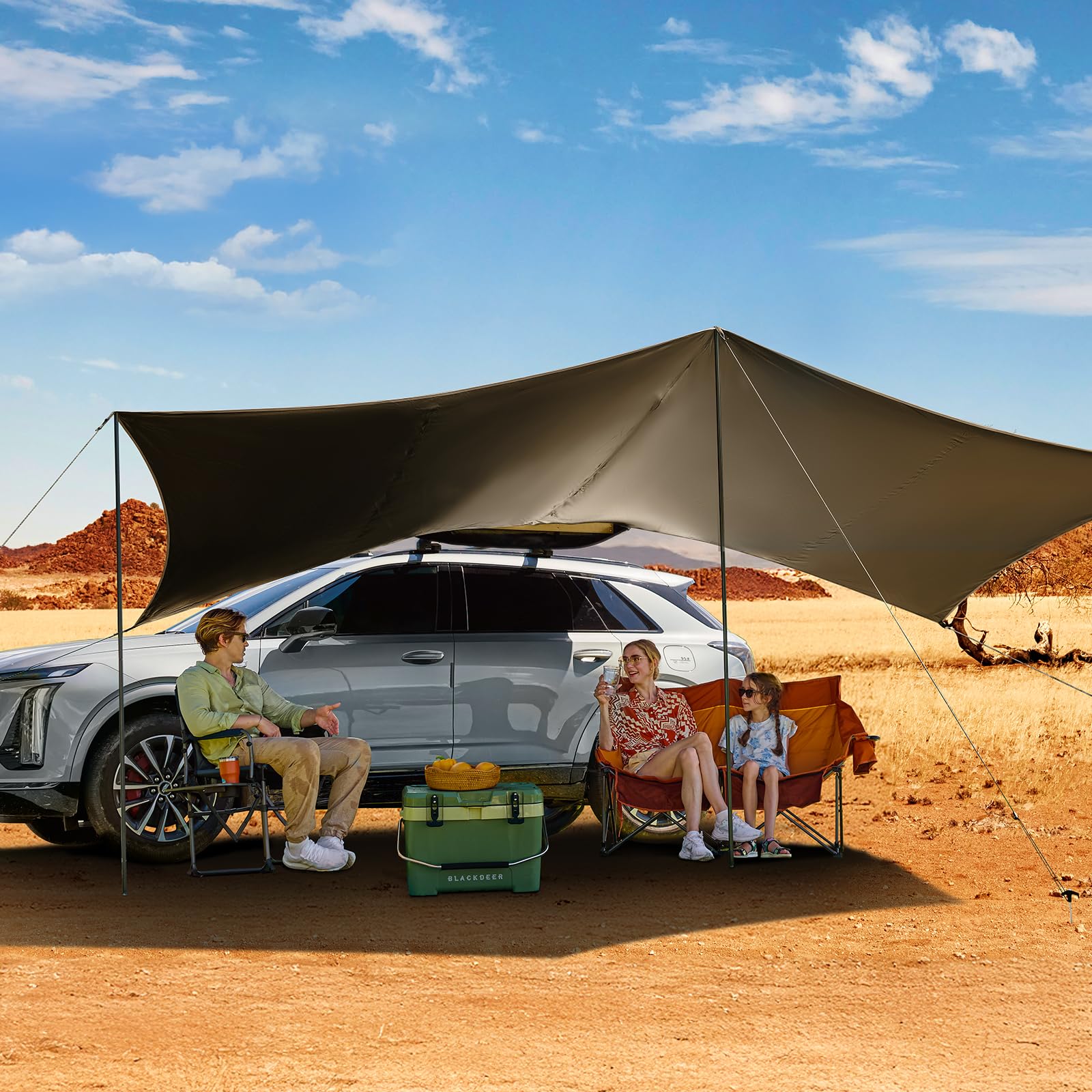 19x9.8 Retractable Vehicle Awning