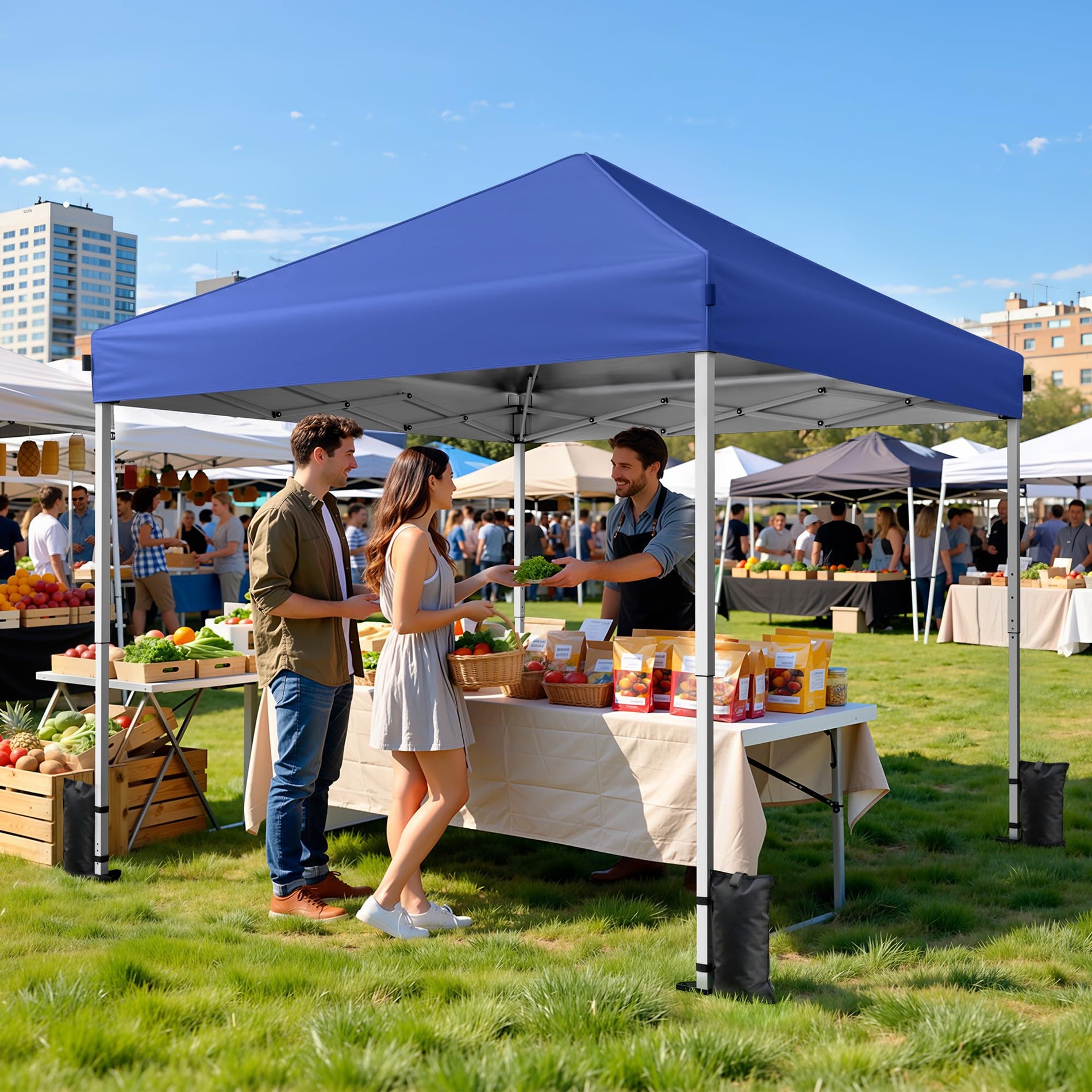 Portable Pop Up Canopy Tent